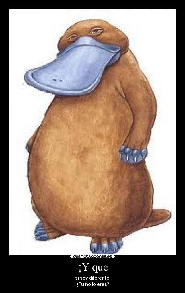 ¡Y que - si soy diferente!
¿Tú no lo eres?