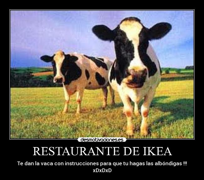 RESTAURANTE DE IKEA -