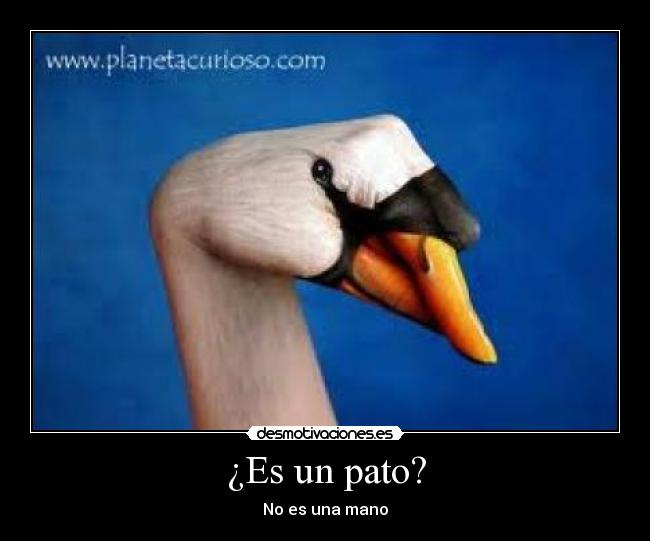 ¿Es un pato? - No es una mano