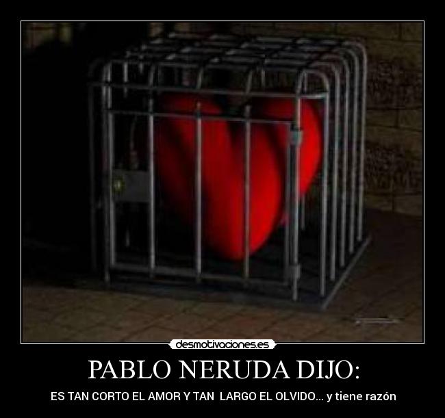 carteles tan corto amor tan largo olvido desmotivaciones