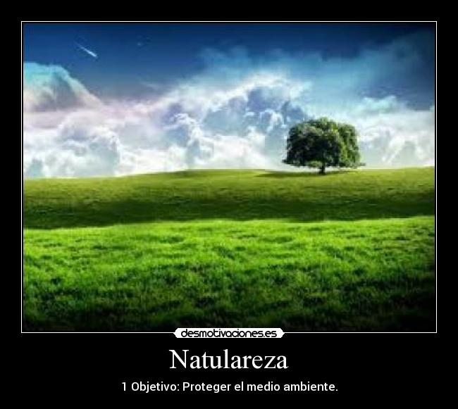 Natulareza - 1 Objetivo: Proteger el medio ambiente.