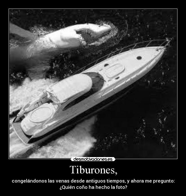 Tiburones, - 
