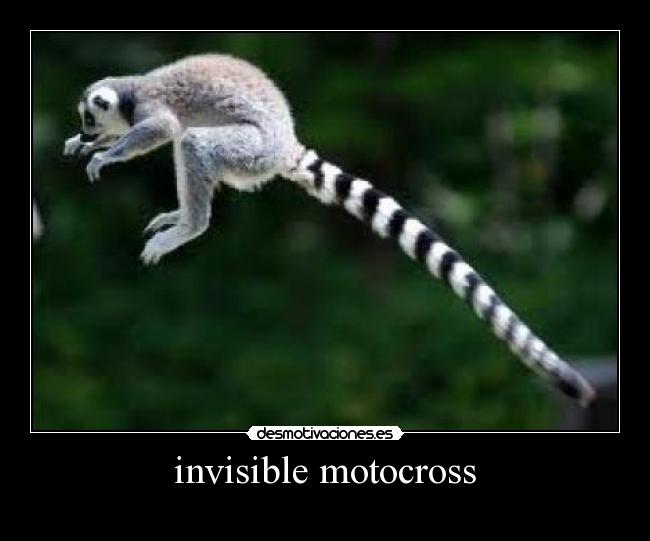invisible motocross - 