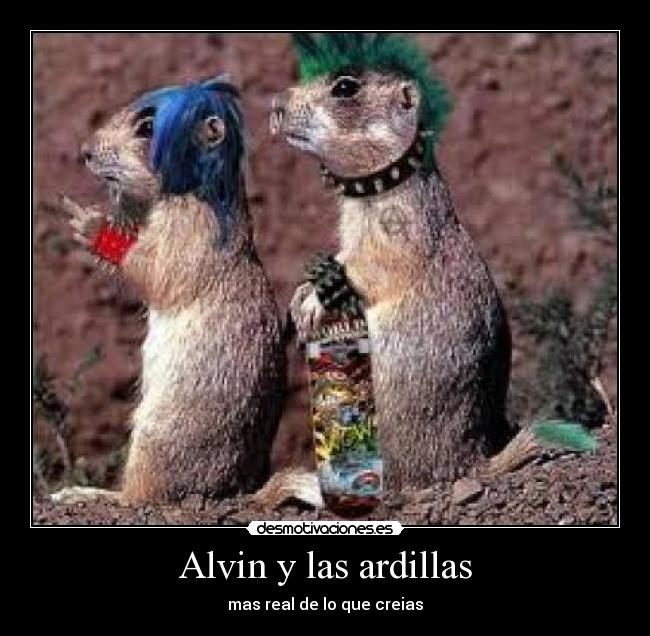 carteles ardillas desmotivaciones