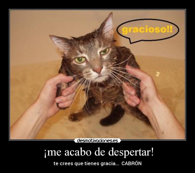 ¡me acabo de despertar! - 