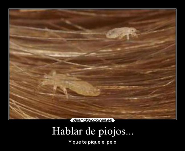 carteles piojos desmotivaciones