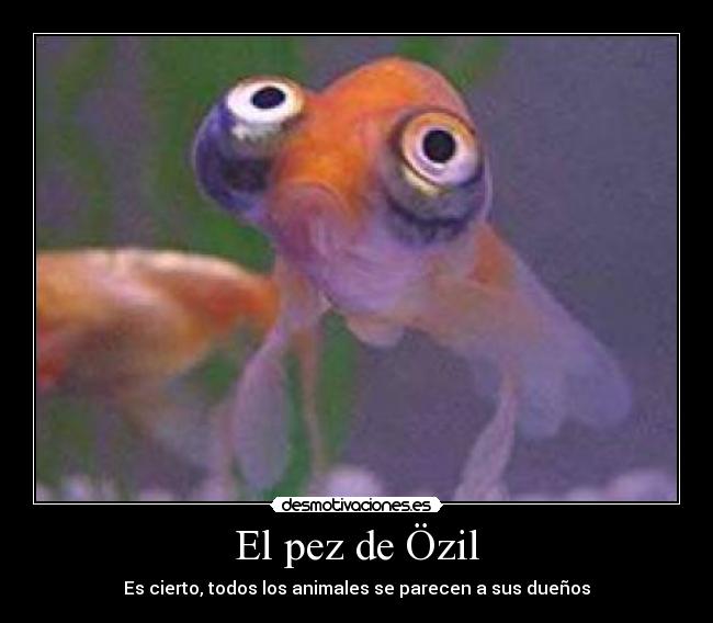 carteles pez ozil desmotivaciones