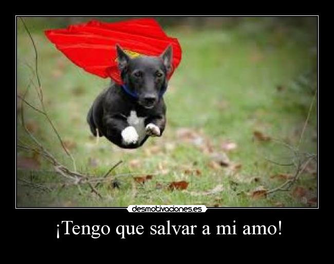 ¡Tengo que salvar a mi amo! -