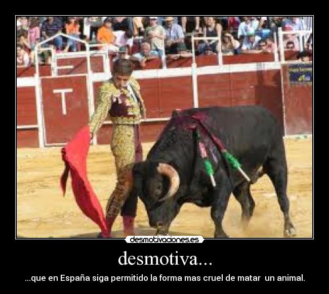 desmotiva... - ...que en España siga permitido la forma mas cruel de matar un animal.