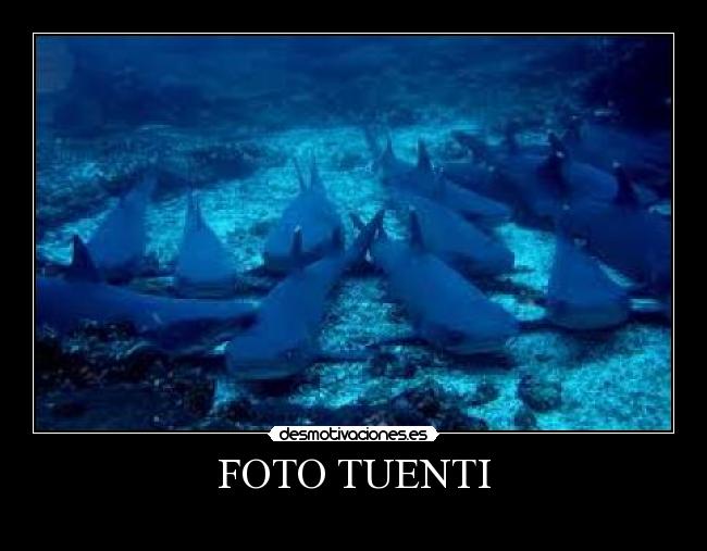 FOTO TUENTI - 