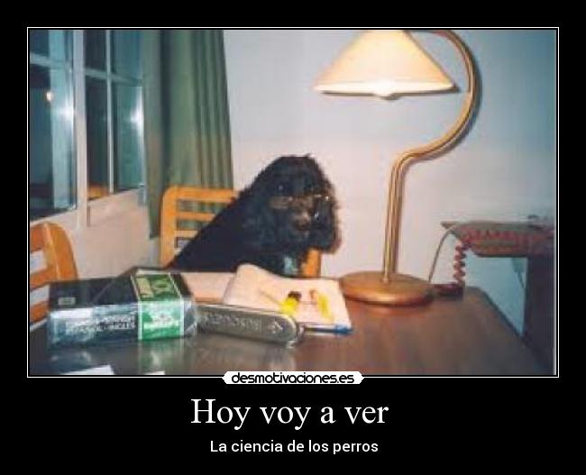 carteles  desmotivaciones