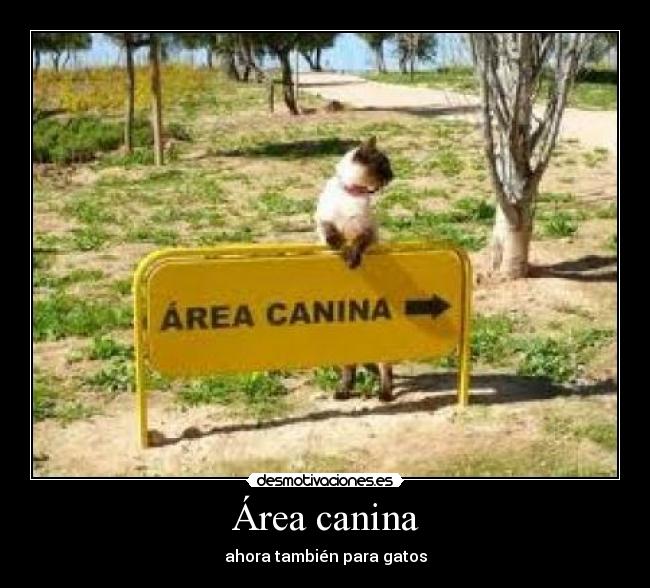 Área canina -