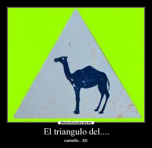 El triangulo del.... -