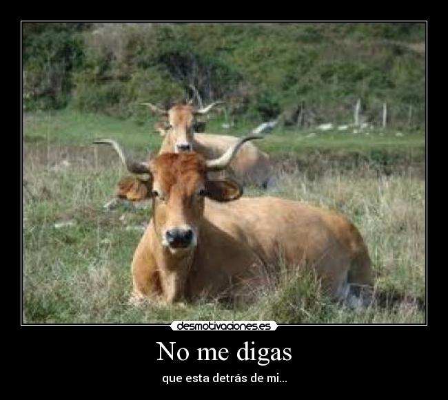 No me digas - 
