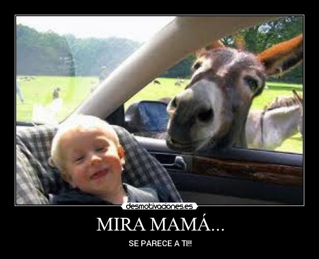 MIRA MAMÁ... -