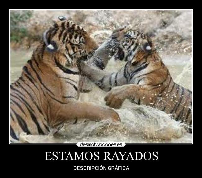 ESTAMOS RAYADOS -