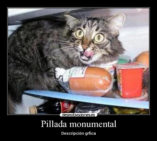 Pillada monumental - Descripción grfica