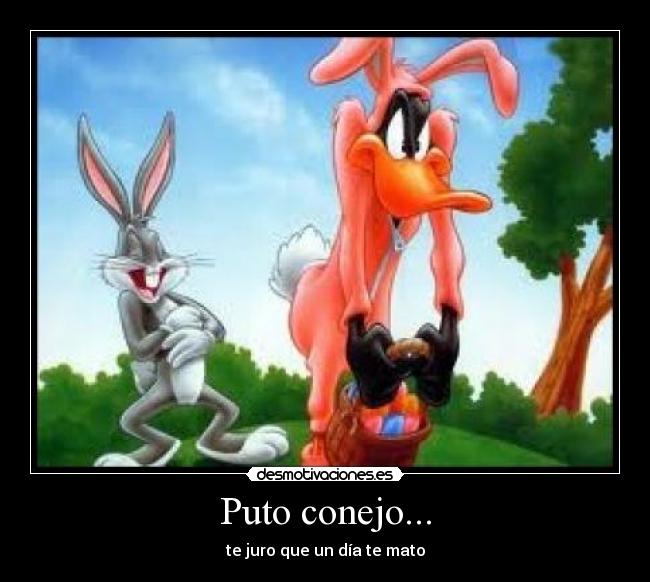 Puto conejo... -