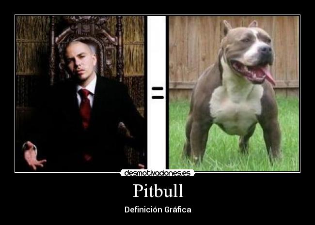 Pitbull - 