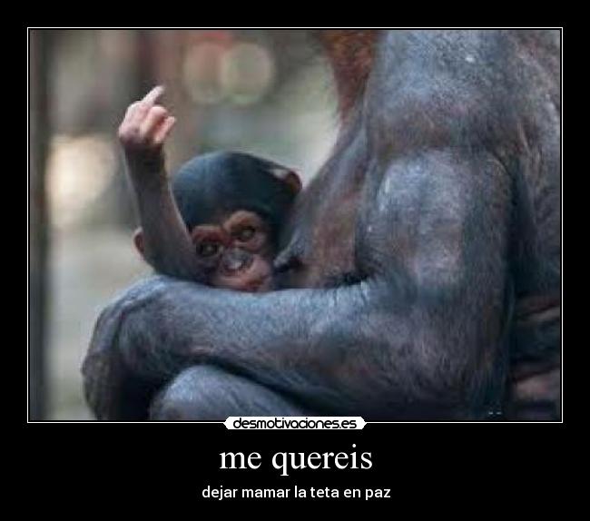 me quereis - 