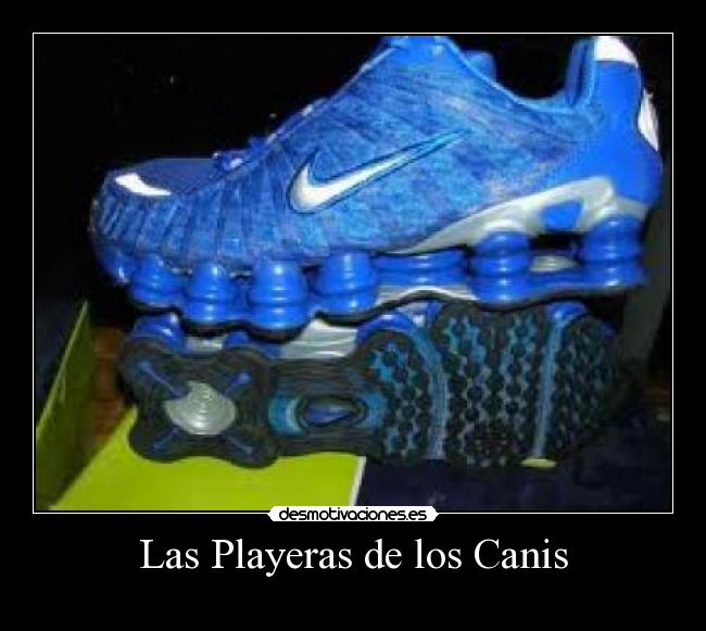 Las Playeras de los Canis - 