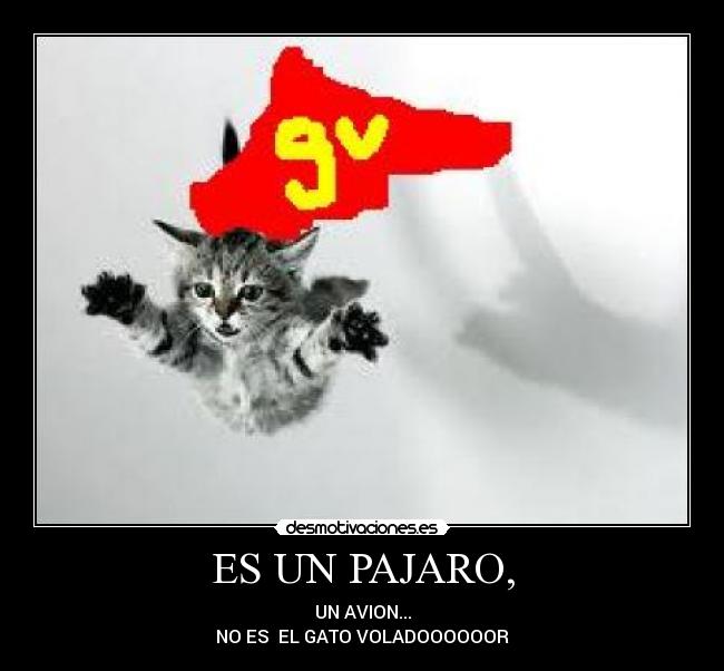 ES UN PAJARO, - UN AVION...
NO ES EL GATO VOLADOOOOOOR