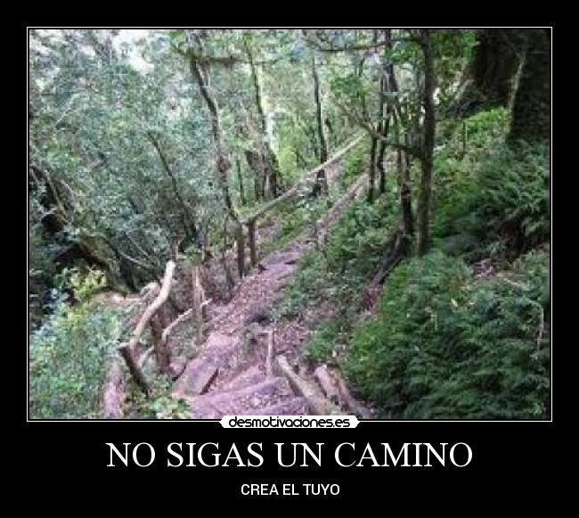 NO SIGAS UN CAMINO - CREA EL TUYO