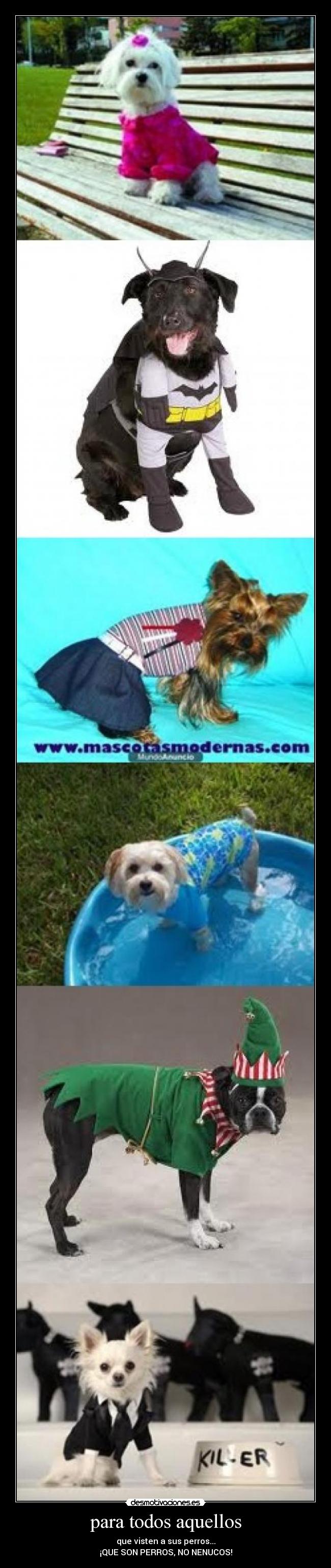 para todos aquellos -