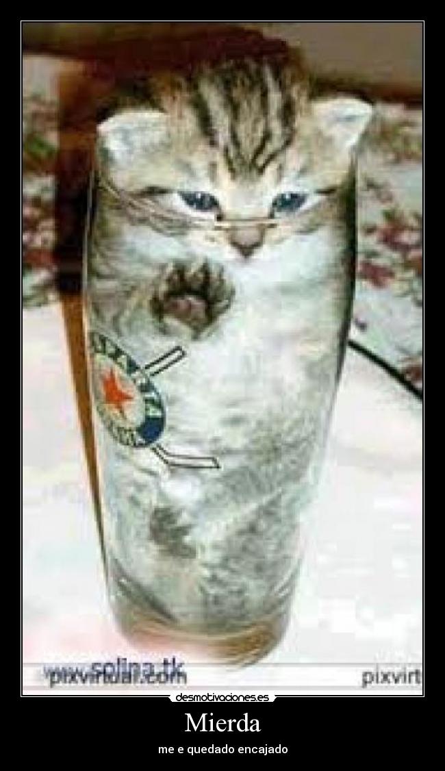 Mierda - 