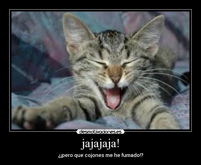 jajajaja! -