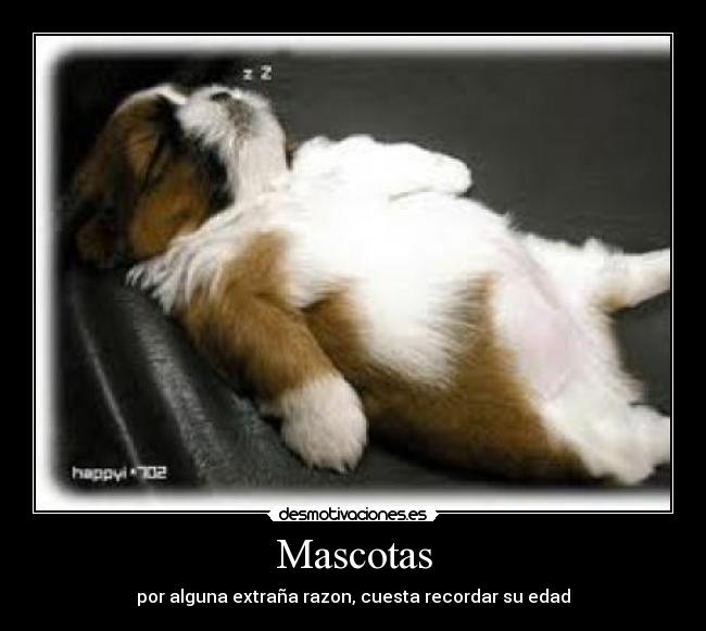 carteles vhj desmotivaciones