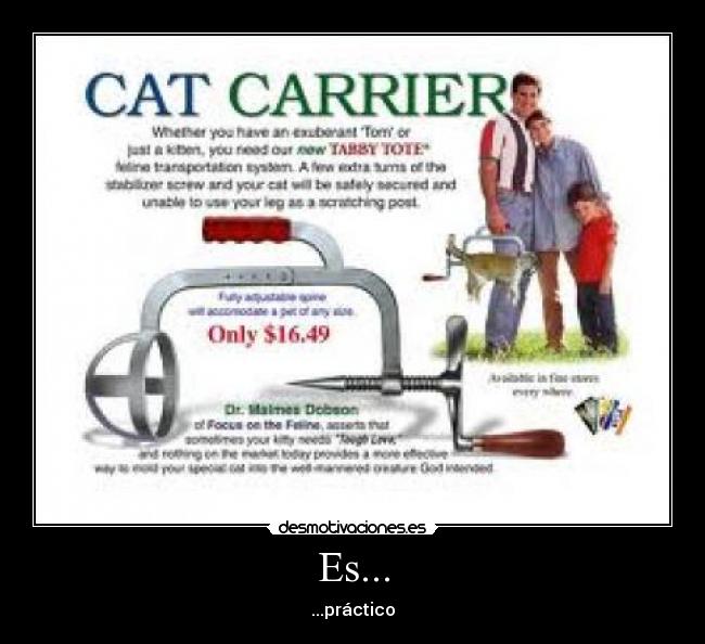 carteles cat carrier desmotivaciones