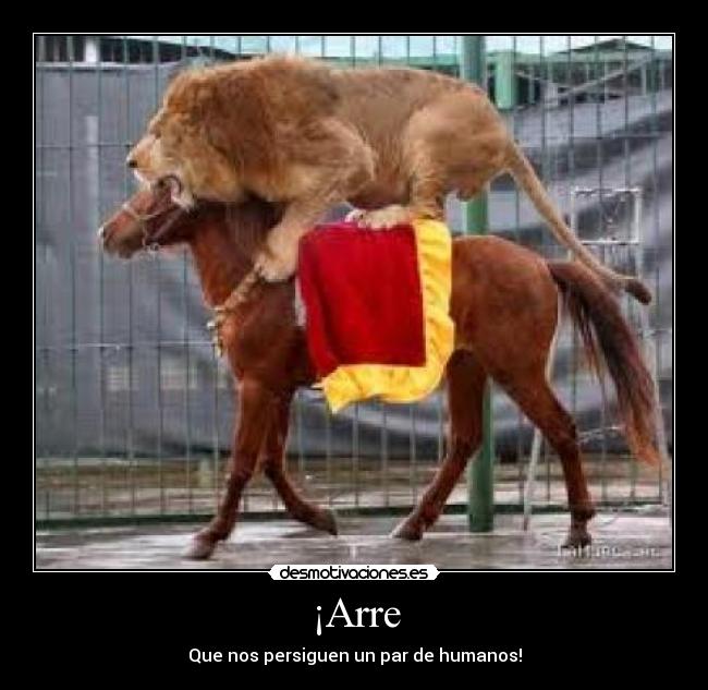 ¡Arre -