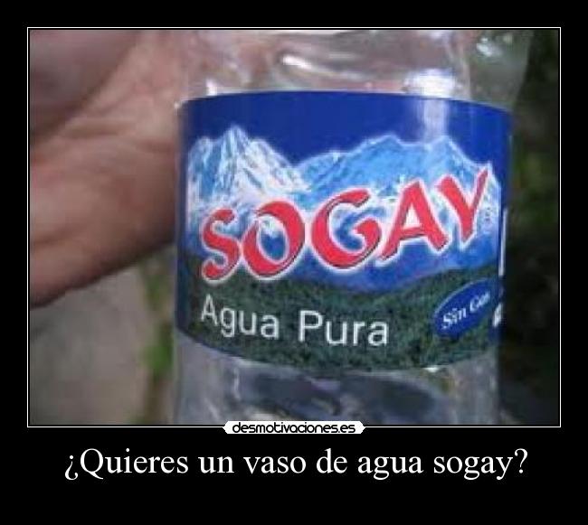 ¿Quieres un vaso de agua sogay? -