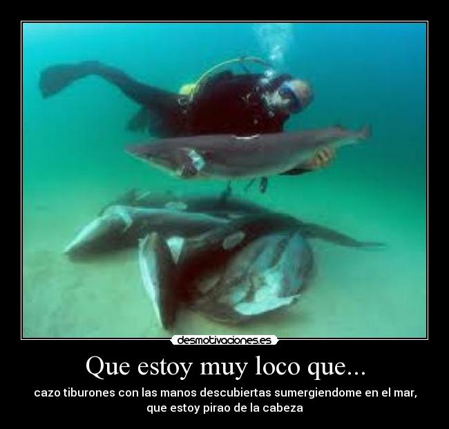 carteles estoy muy loco desmotivaciones