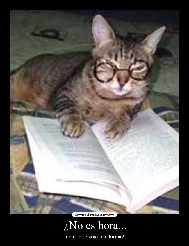 ¿No es hora... - de que te vayas a dormir?