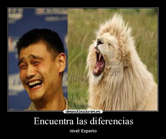Encuentra las diferencias - 