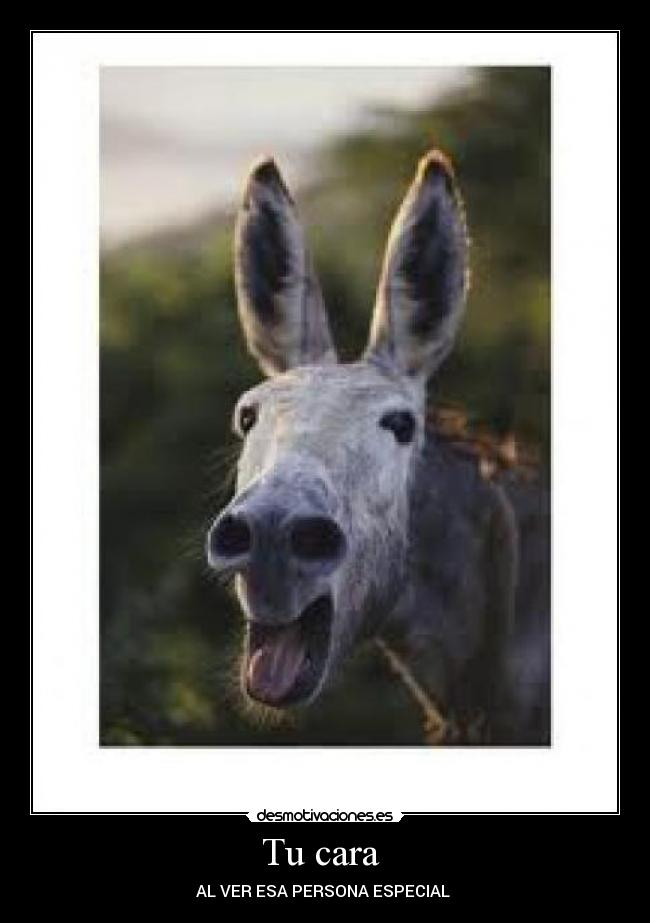 Tu cara - AL VER ESA PERSONA ESPECIAL