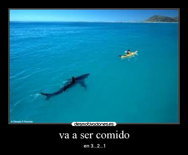 va a ser comido - en 3...2...1