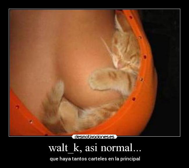 walt_k, asi normal... -