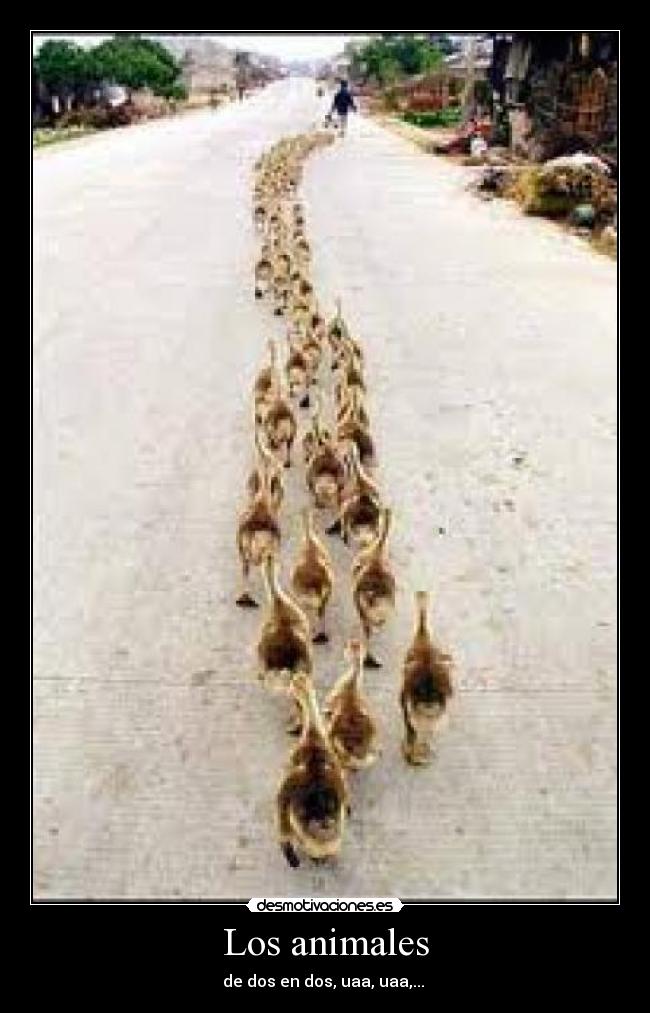 Los animales - de dos en dos, uaa, uaa,...