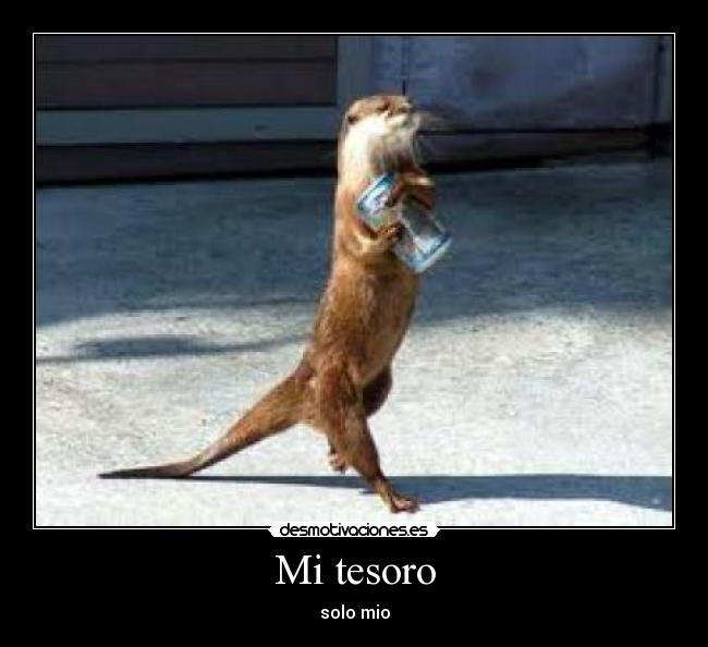 Mi tesoro - 
