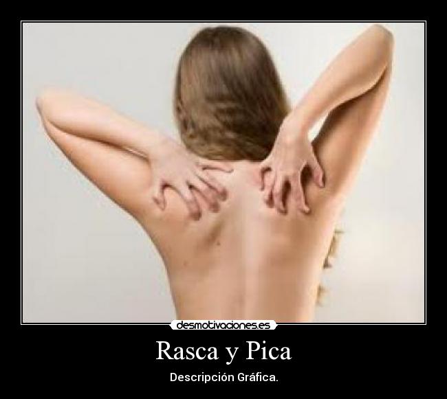 carteles rasca pica desmotivaciones