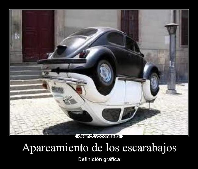 Apareamiento de los escarabajos - 