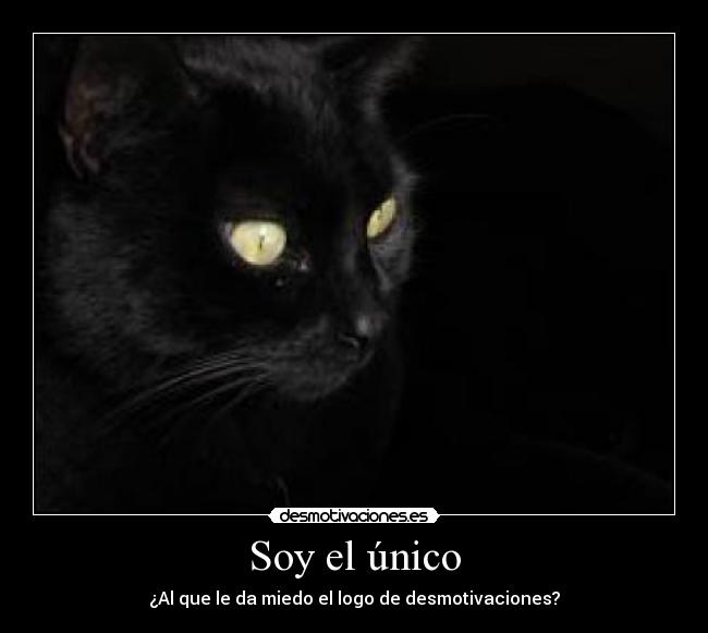 carteles logo gato desmotivaciones