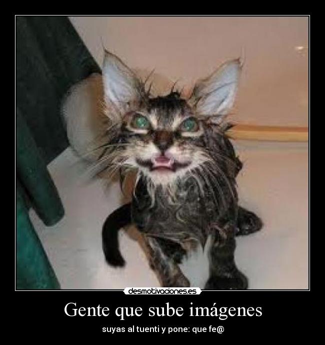 Gente que sube imágenes - suyas al tuenti y pone: que fe@