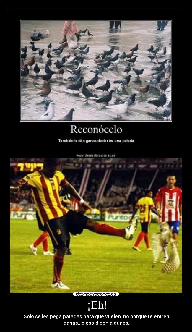 ¡Eh! - Sólo se les pega patadas para que vuelen, no porque te entren
ganas...o eso dicen algunos.