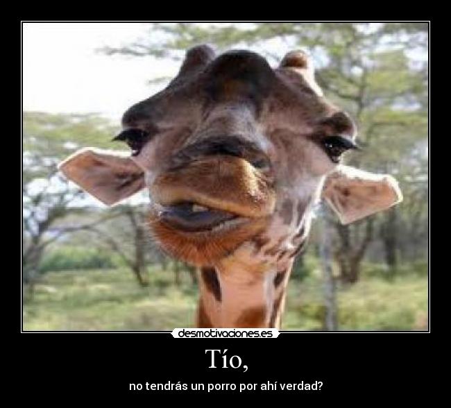 Tío, - no tendrás un porro por ahí verdad?