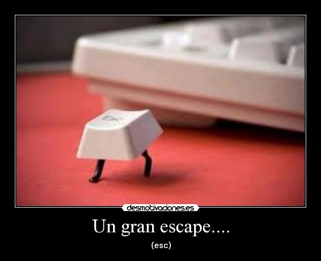 Un gran escape.... -