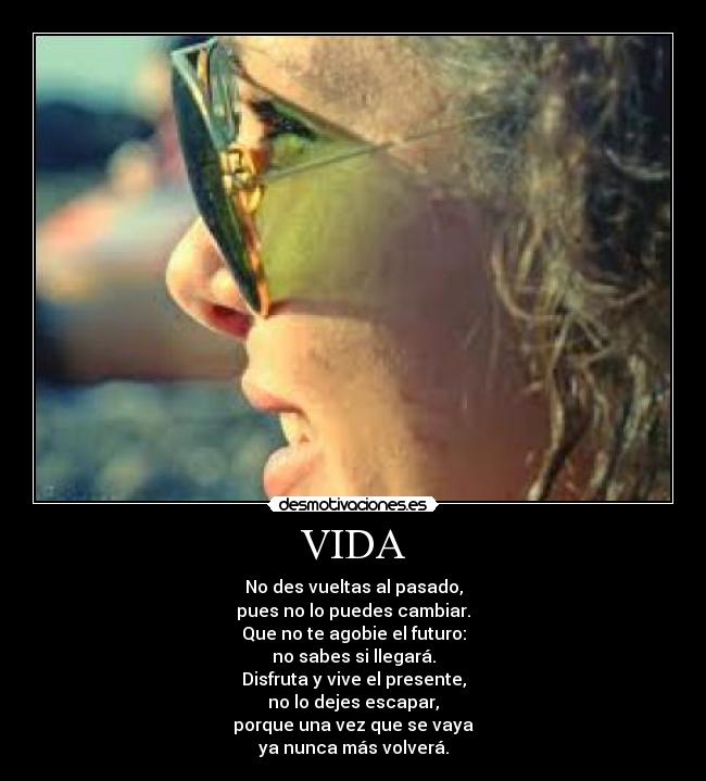 carteles vida vida desmotivaciones